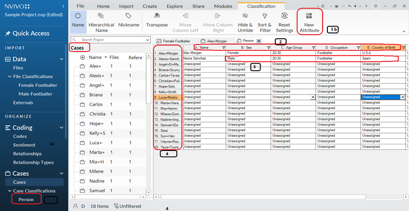 Nvivo Cases