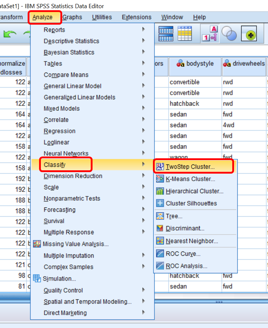 Two Step Cluster Analysis - SPSS