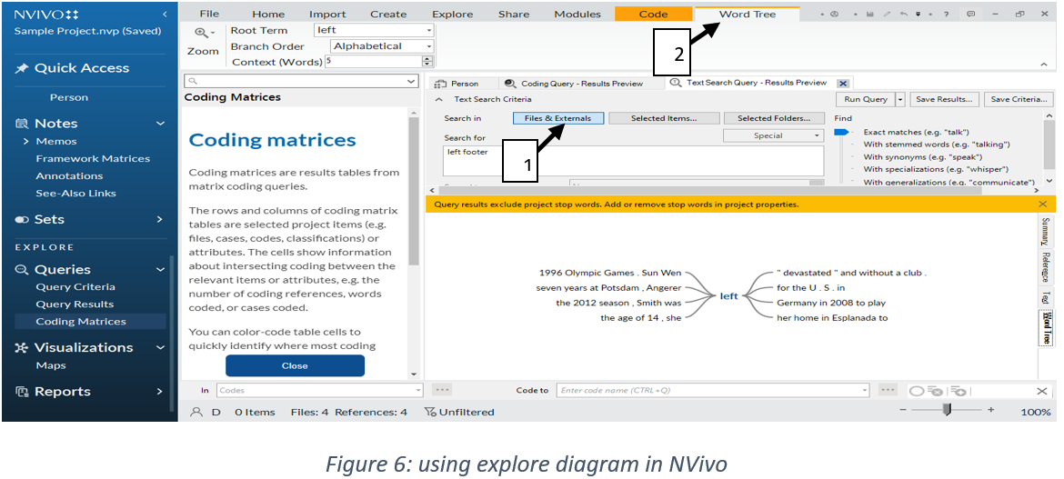 NVivo Qualitative Analysis